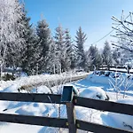 Lesna Przystan - Caloroczne Grywald