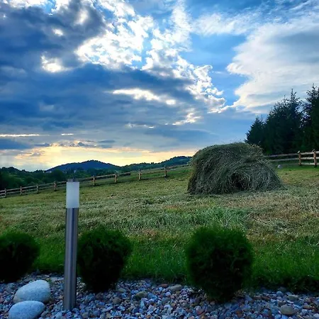 Lesna Przystan - Caloroczne Шале Grywald