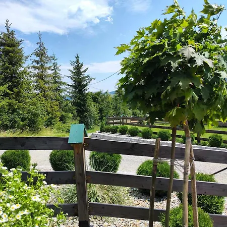 Chalet Lesna Przystan - Caloroczne