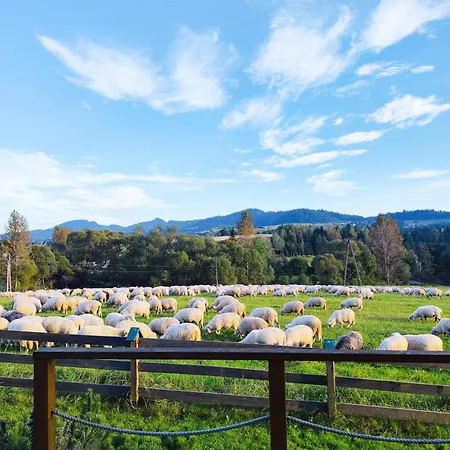 Lesna Przystan - Caloroczne Шале Grywald
