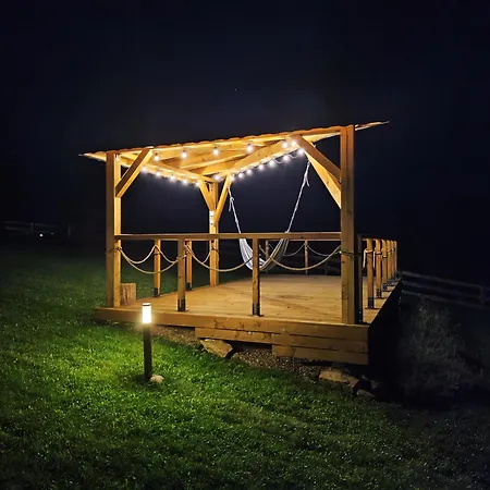 Lesna Przystan - Caloroczne