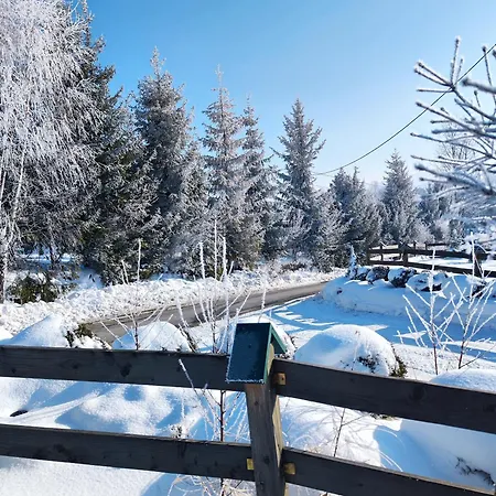 Lesna Przystan - Caloroczne Grywald