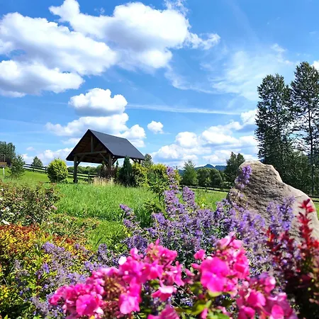Lesna Przystan - Caloroczne Chalet Grywald