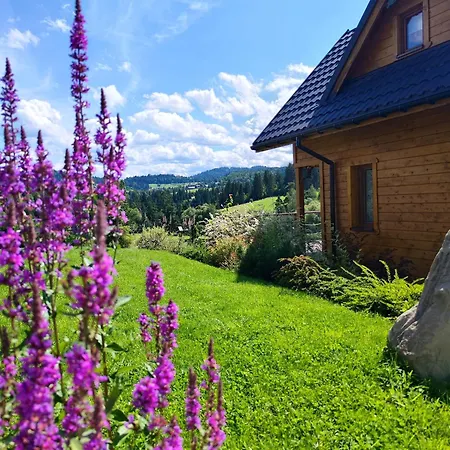 Lesna Przystan - Caloroczne Chalet