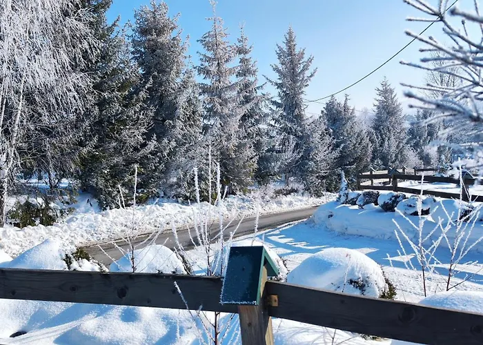 Leśna Przystań - Całoroczne Grywald